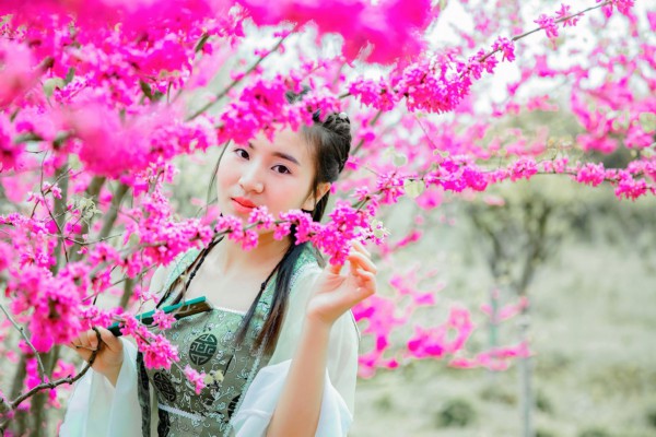 武汉长江大桥下，茶香伴江风，邂逅慢时光